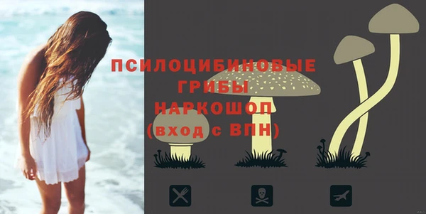 мдпв Заволжск