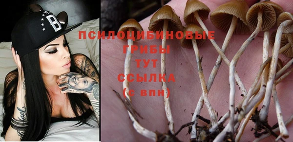 гашиш Заводоуковск