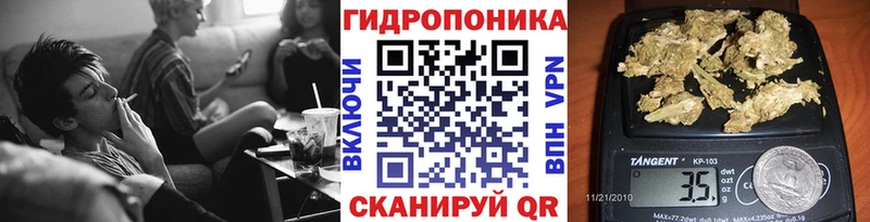 Шишки марихуана тримм  маркетплейс как зайти  Каргополь  магазин   
